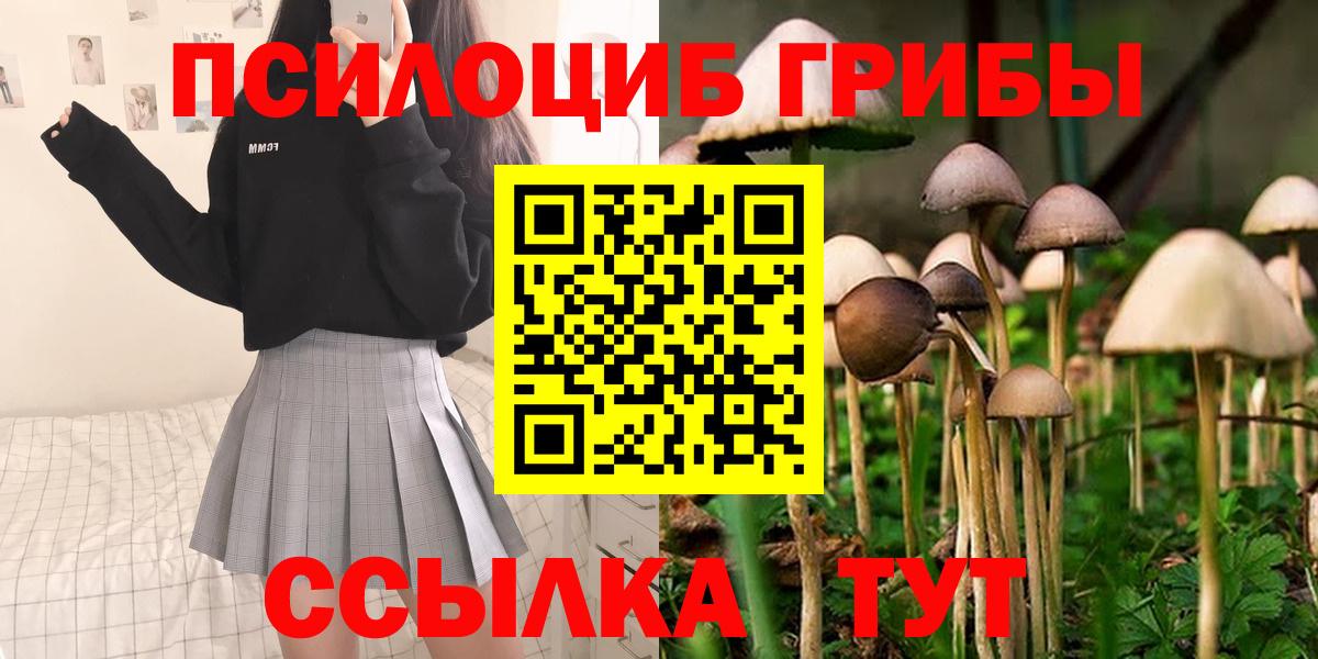 Псилоцибиновые грибы Cubensis  Кимовск 