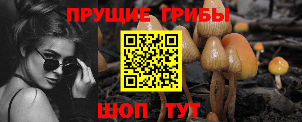 Галлюциногенные грибы MAGIC MUSHROOMS  Галлюциногенные грибы мицелий  Кимовск  Вход с VPN 