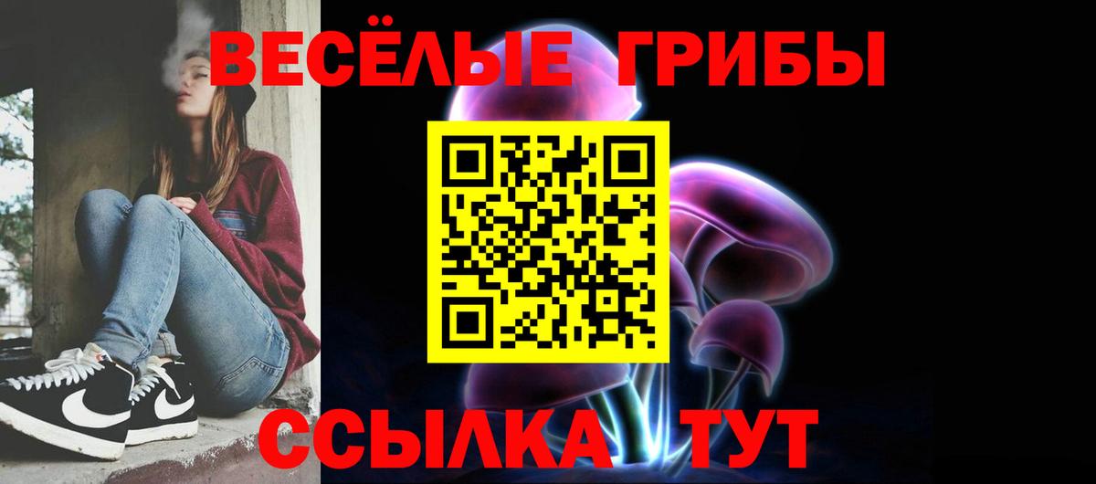  COCAIN Кимовск